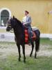 Lilienhof 270805 026